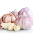 2016 NEW CROP GARLIC